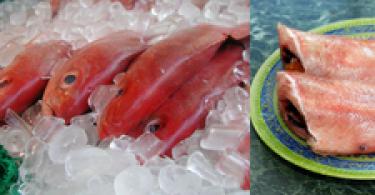 Вкусный рыбный суп из красной рыбы по рецепту с фото